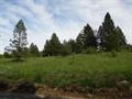 1869 Arrastra Gulch Rd, Helena, MT 59601