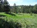 1869 Arrastra Gulch Rd, Helena, MT 59601
