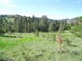 1869 Arrastra Gulch Rd, Helena, MT 59601