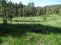 1869 Arrastra Gulch Rd, Helena, MT 59601