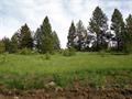1869 Arrastra Gulch Rd, Helena, MT 59601