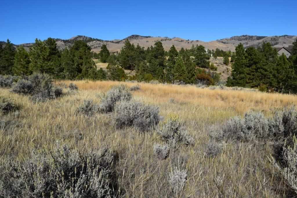 4015 Water Dance Dr, Helena, MT 59602