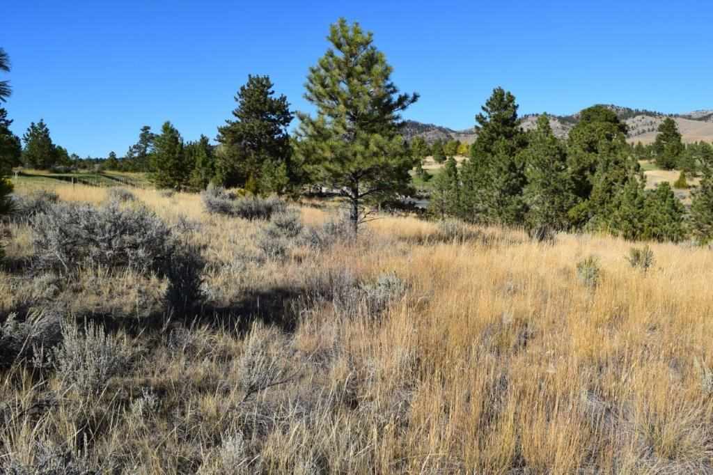 4015 Water Dance Dr, Helena, MT 59602