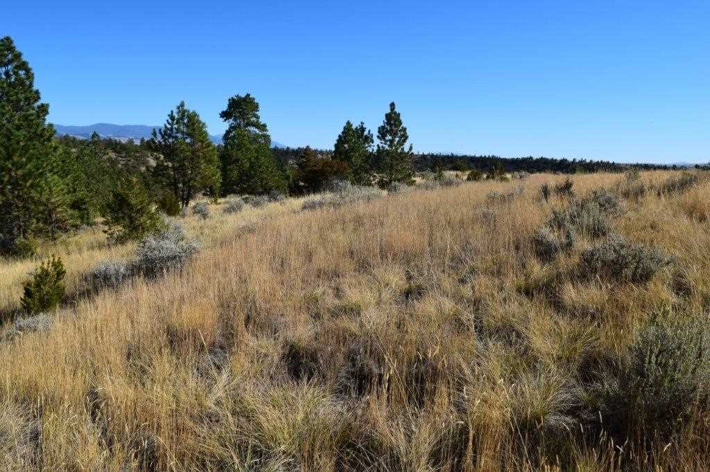 4015 Water Dance Dr, Helena, MT 59602