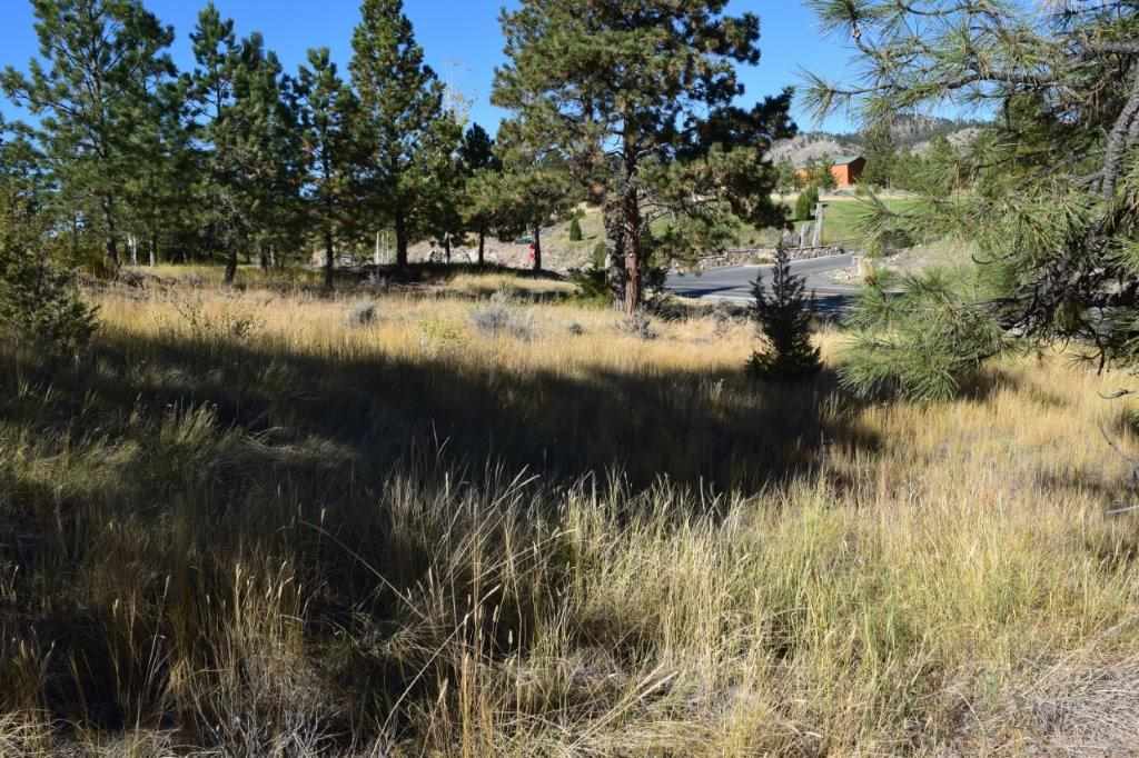4015 Water Dance Dr, Helena, MT 59602