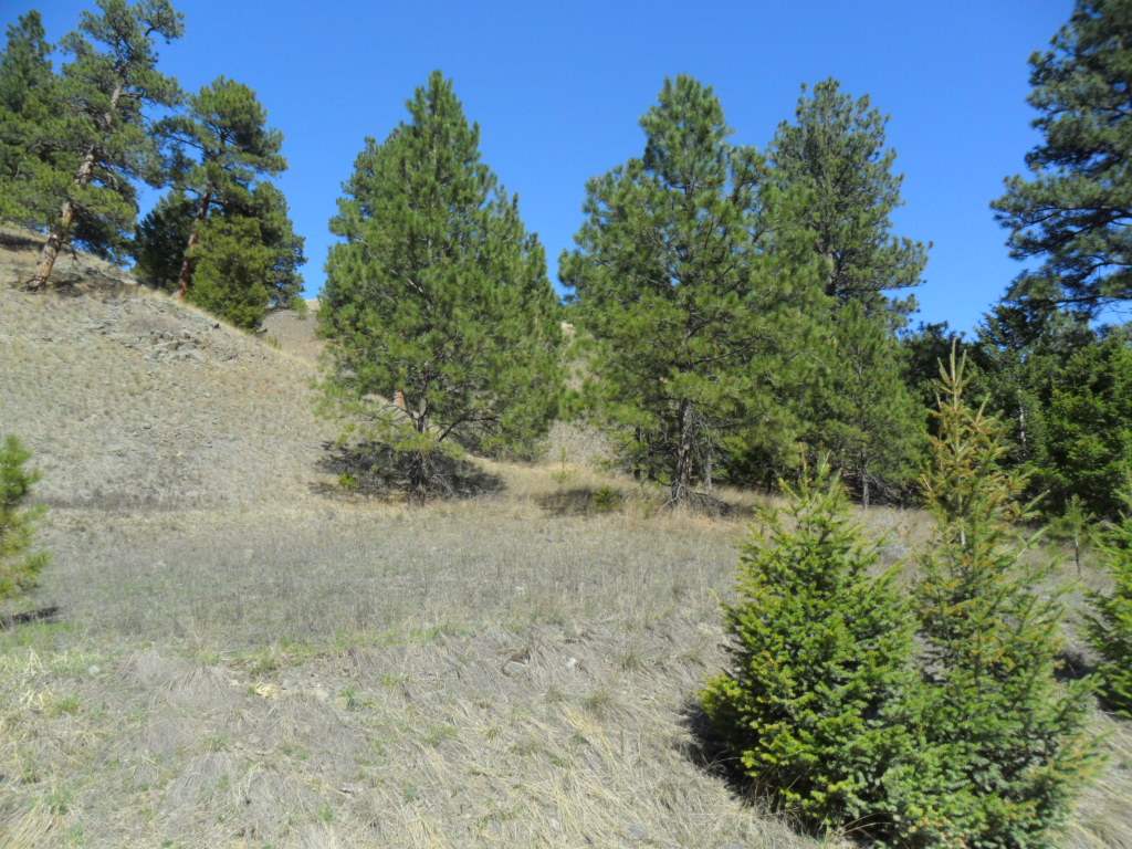 Lot 84 Spring Creek Ranch, Helena, MT 59602
