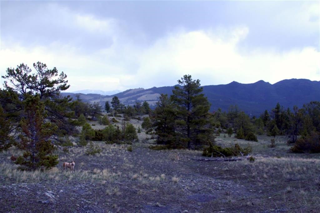 Lot 51 Spring Creek Trail, Helena, MT 59602