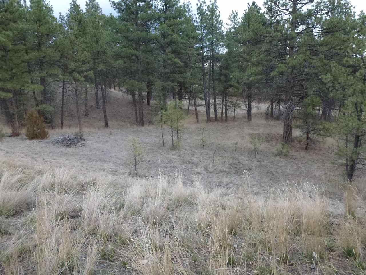3425 Kevchele Ct., Helena, MT 59602