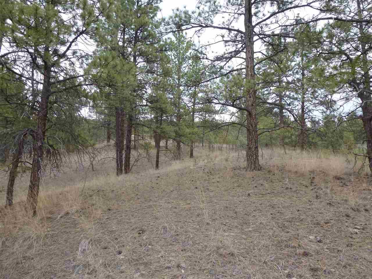 3425 Kevchele Ct., Helena, MT 59602