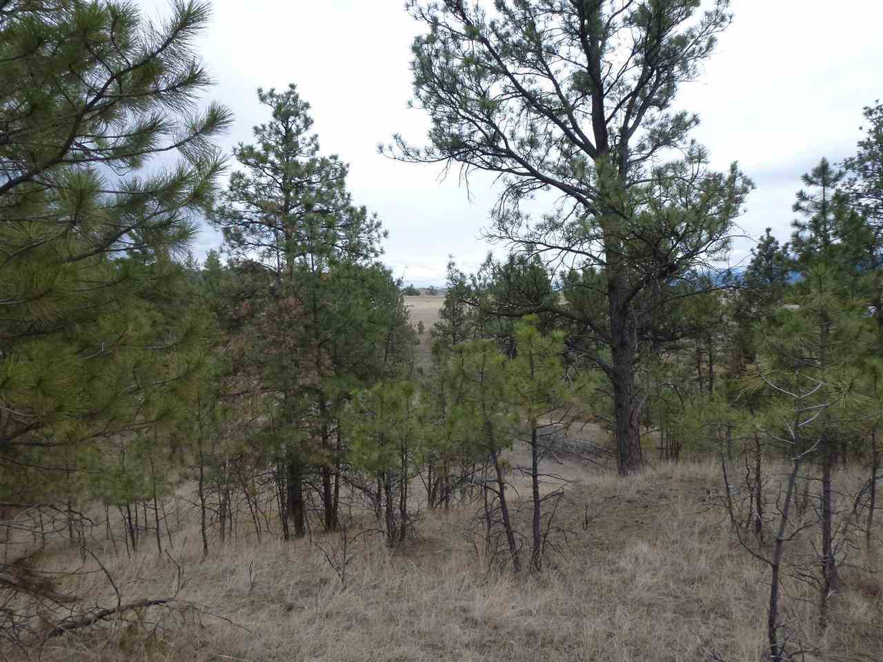 3425 Kevchele Ct., Helena, MT 59602
