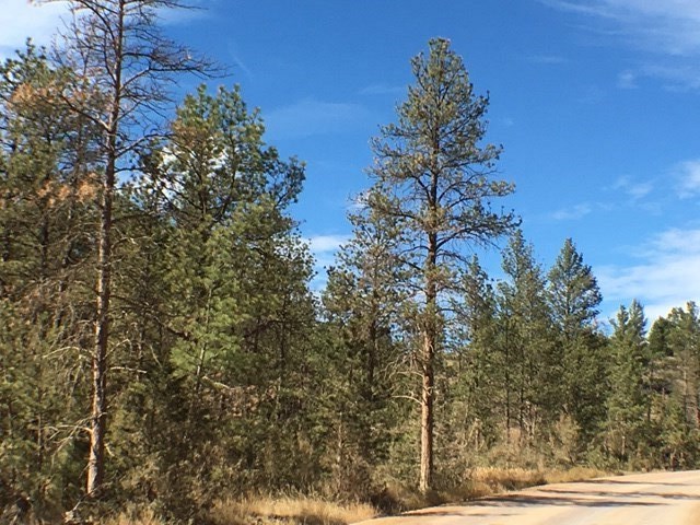 TBD Hauser Dam Rd, Helena, MT 59602