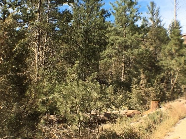 TBD Hauser Dam Rd, Helena, MT 59602