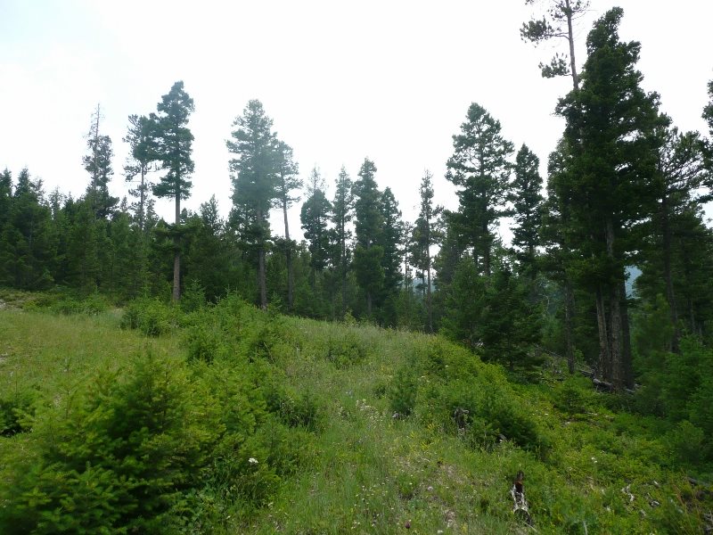TBD Turk Rd, Helena, MT 59602