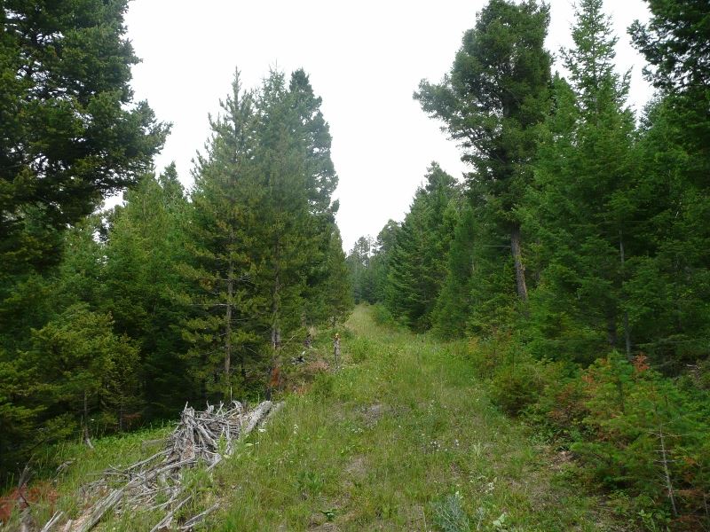 TBD Turk Rd, Helena, MT 59602