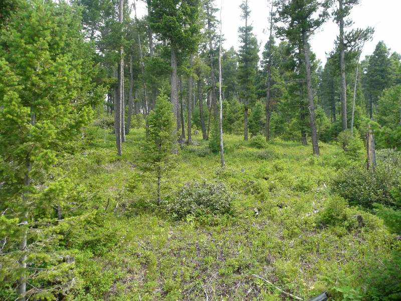 TBD Turk Rd, Helena, MT 59602
