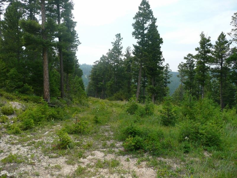 TBD Turk Rd, Helena, MT 59602