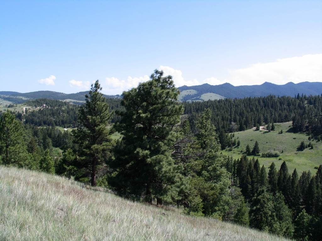Lot 73 Spring Creek Ranch, Helena, MT 59602