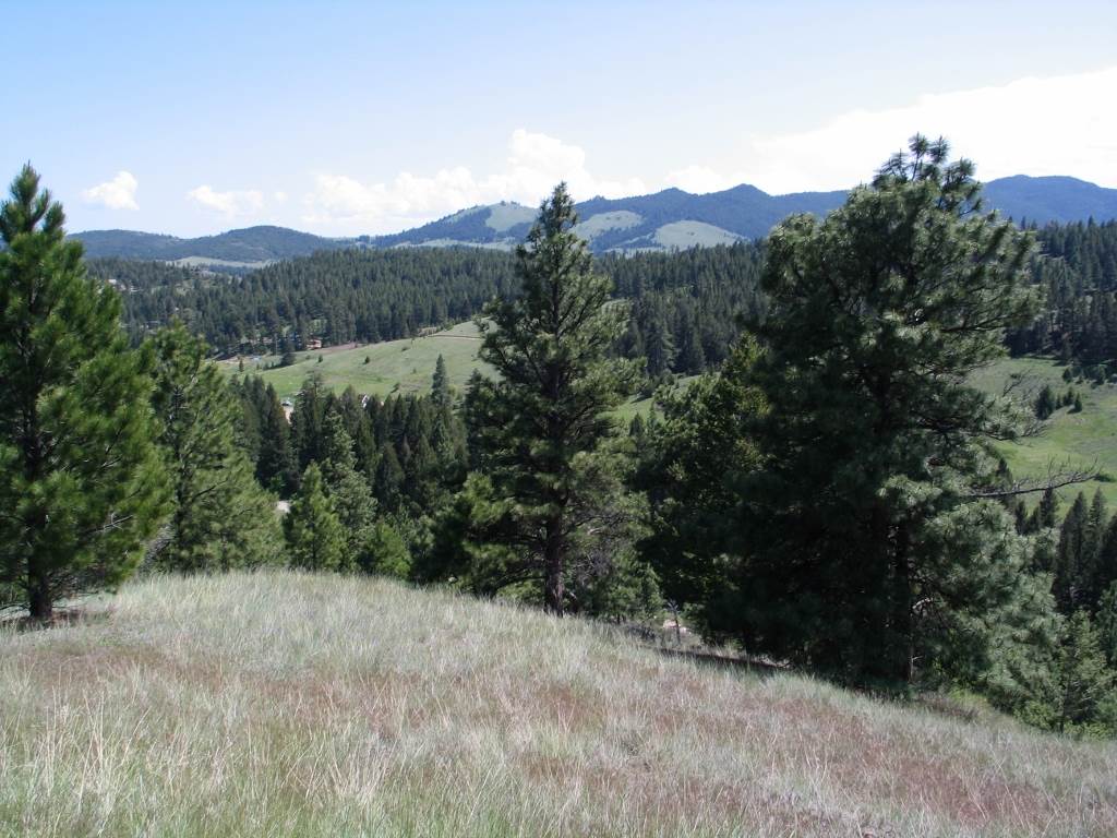 Lot 73 Spring Creek Ranch, Helena, MT 59602
