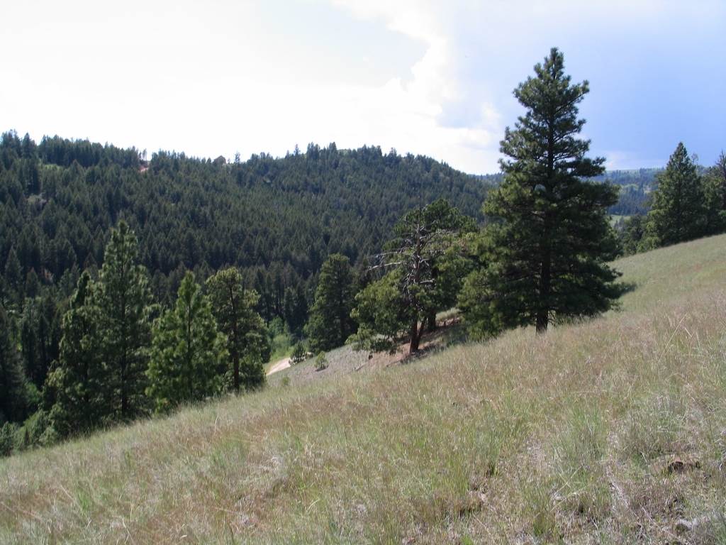 Lot 73 Spring Creek Ranch, Helena, MT 59602