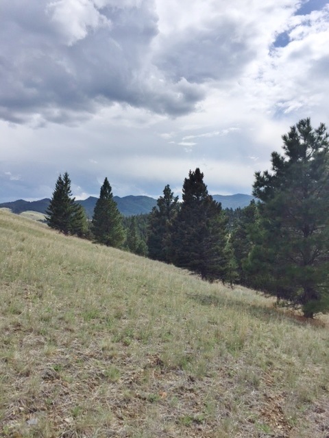 Lot 73 Spring Creek Ranch, Helena, MT 59602