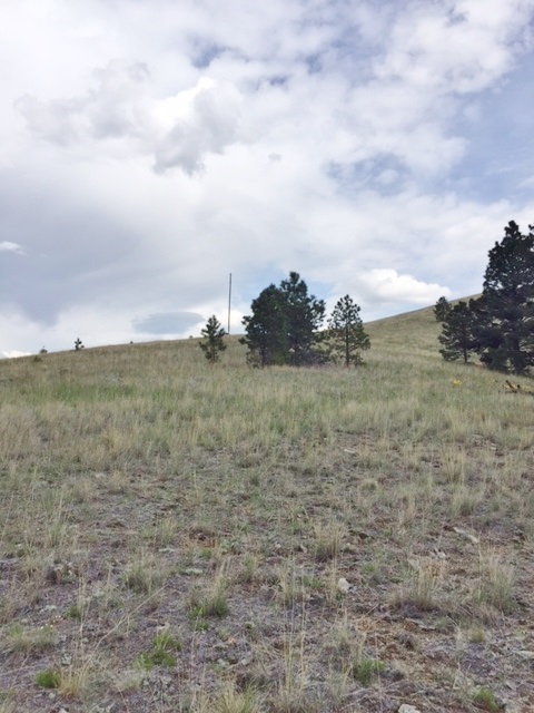 Lot 73 Spring Creek Ranch, Helena, MT 59602
