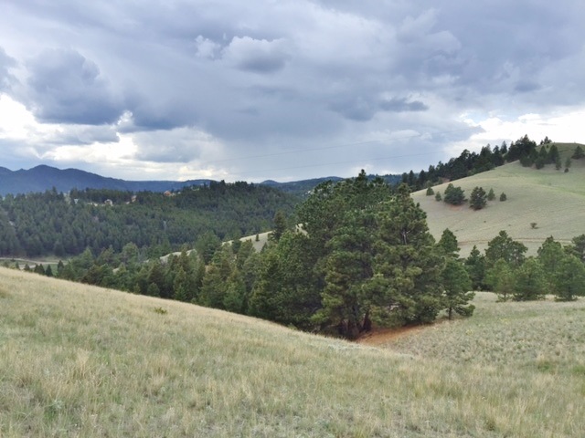Lot 73 Spring Creek Ranch, Helena, MT 59602
