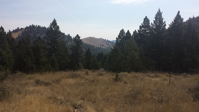 Lot 63 Spring Creek Ranch, Helena, MT 59602