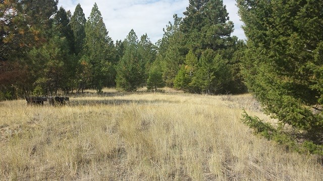 Lot 63 Spring Creek Ranch, Helena, MT 59602