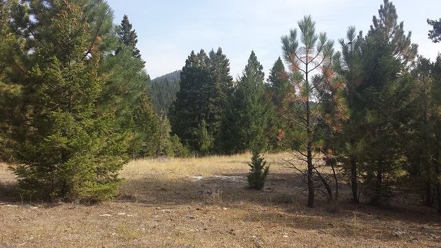Lot 63 Spring Creek Ranch, Helena, MT 59602