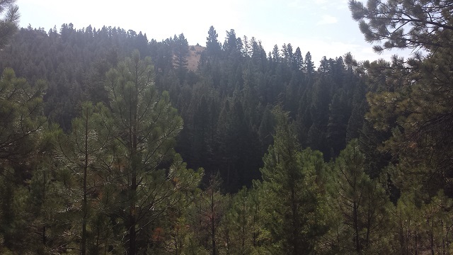 Lot 63 Spring Creek Ranch, Helena, MT 59602