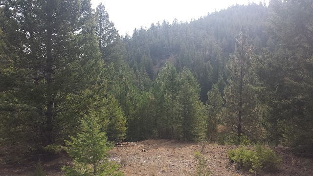 Lot 63 Spring Creek Ranch, Helena, MT 59602