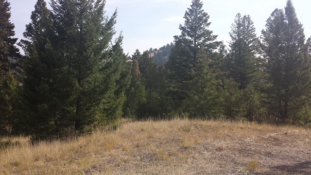 Lot 63 Spring Creek Ranch, Helena, MT 59602