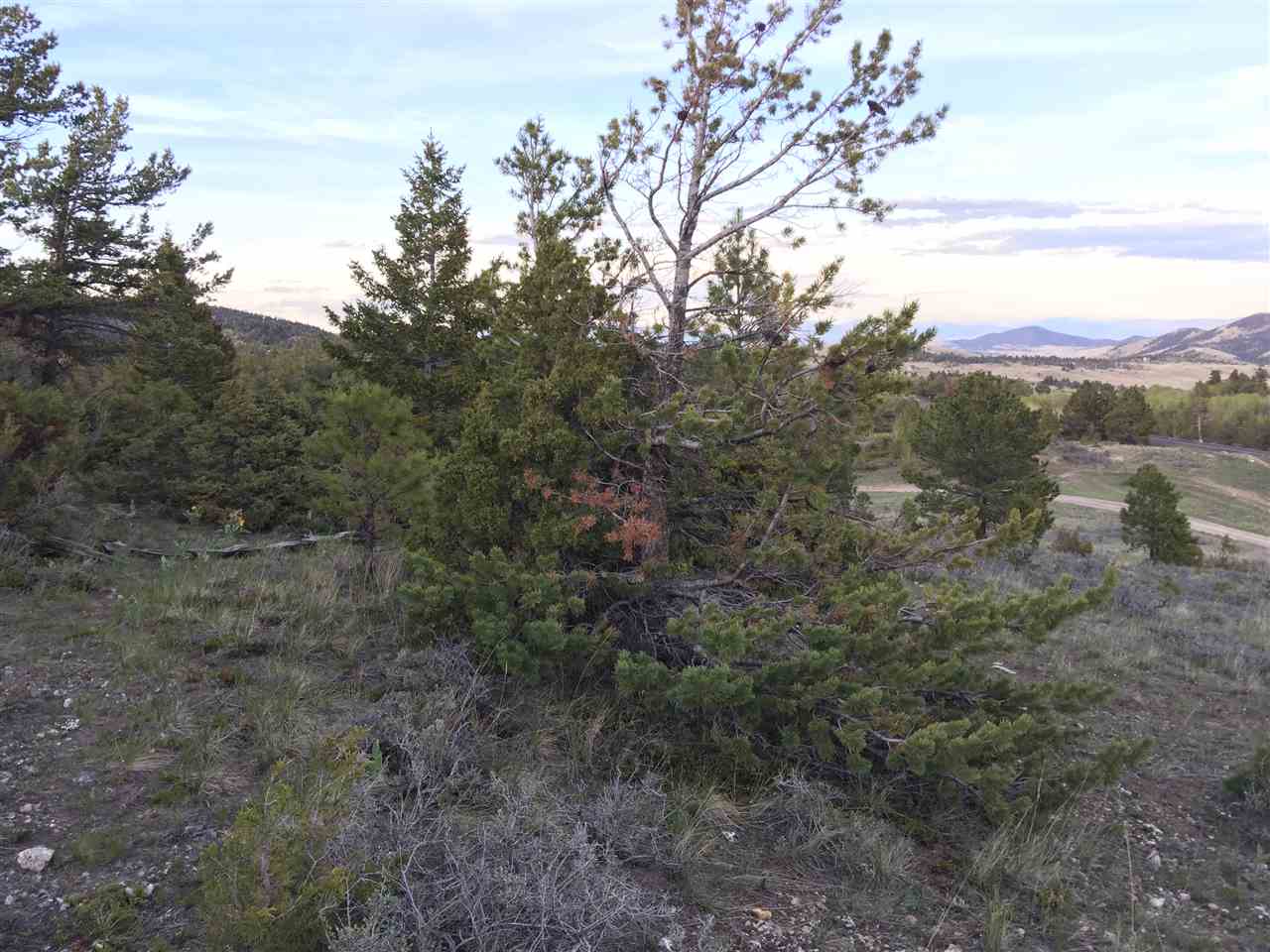 4550 Crooked Pine Dr, Helena, MT 59602