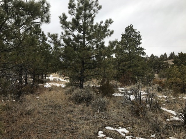 5060 Ridge Crest Rd., Helena, MT 59602
