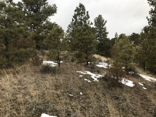 5060 Ridge Crest Rd., Helena, MT 59602