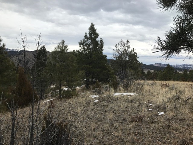 5060 Ridge Crest Rd., Helena, MT 59602