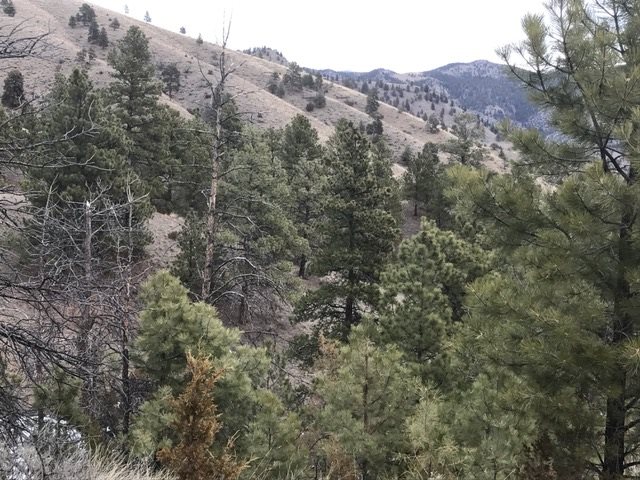 5060 Ridge Crest Rd., Helena, MT 59602