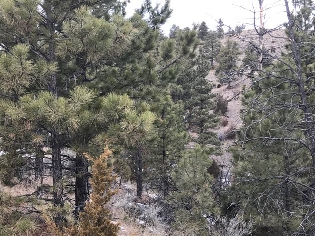 5060 Ridge Crest Rd., Helena, MT 59602