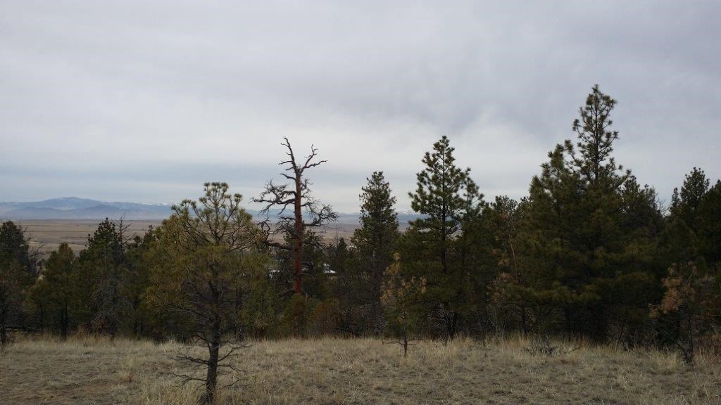 6052 Shawn Dr, Helena, MT 59602