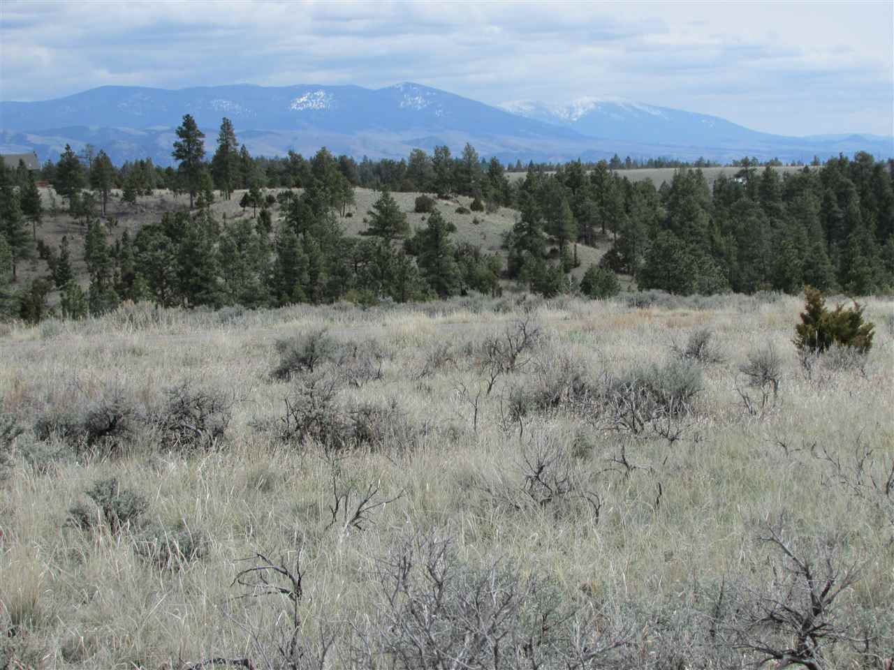 4138 Stargazer, Helena, MT 59602