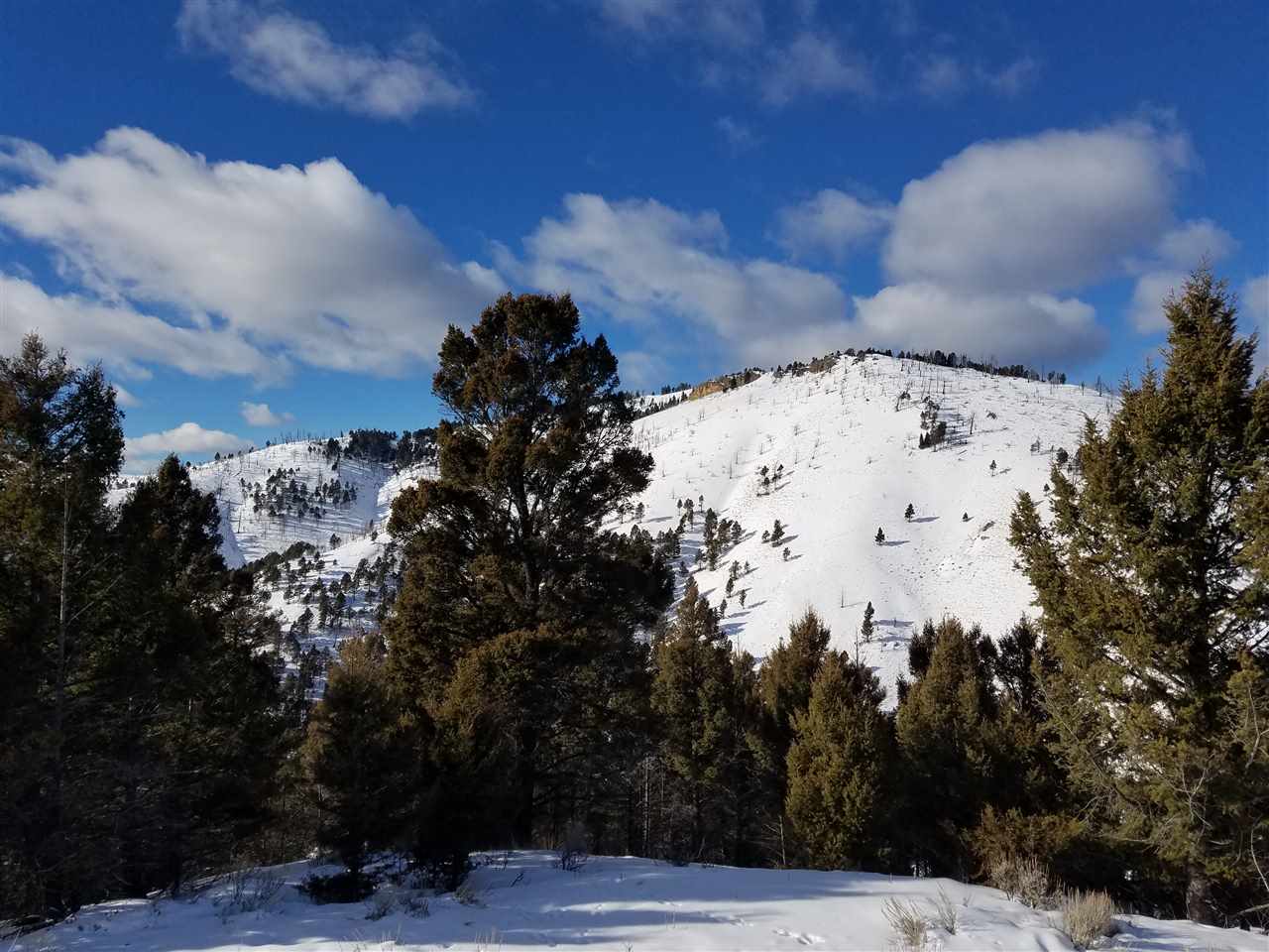 TBD High Ore Rd, Basin/Bernice, MT 59631