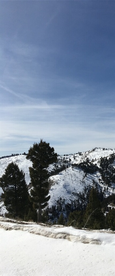 TBD High Ore Rd, Basin/Bernice, MT 59631
