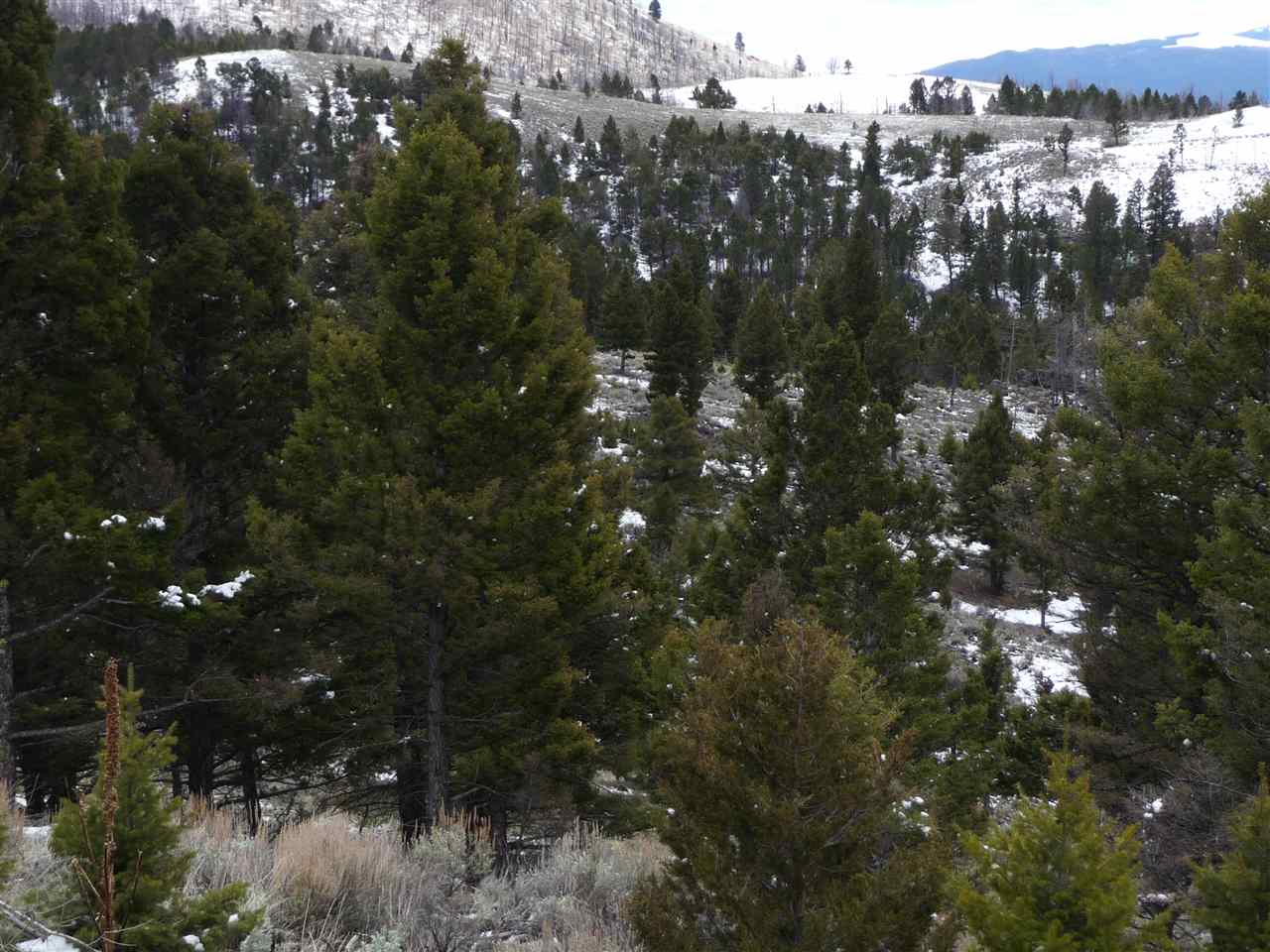 TBD High Ore Rd, Basin/Bernice, MT 59631
