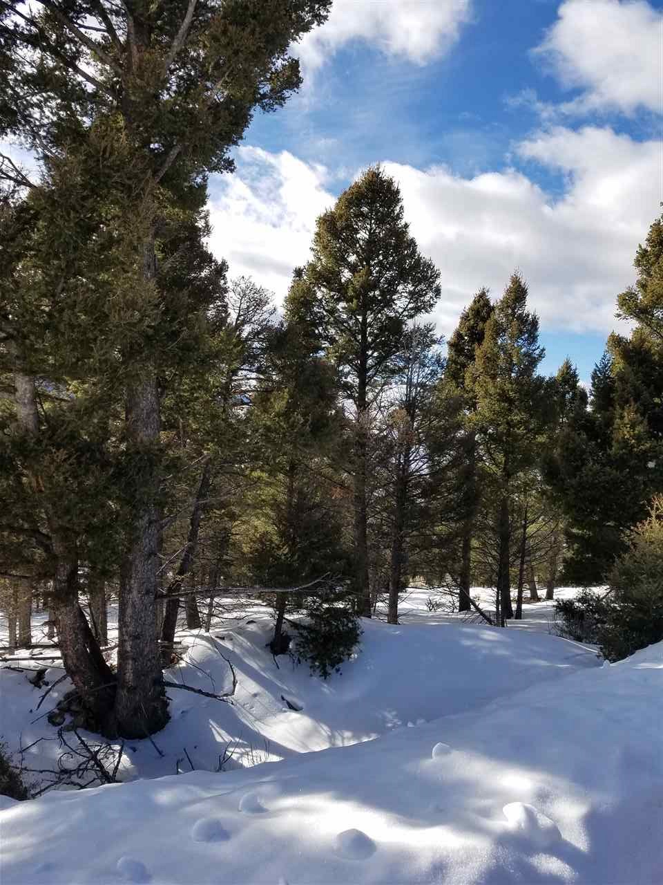 TBD High Ore Rd, Basin/Bernice, MT 59631