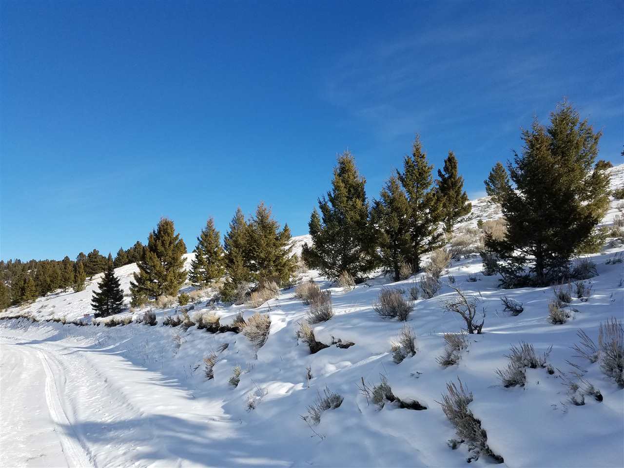TBD High Ore Rd, Basin/Bernice, MT 59631