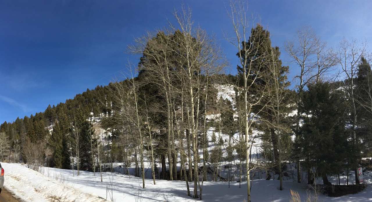 TBD High Ore Rd, Basin/Bernice, MT 59631