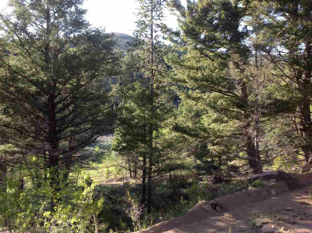 TBD -20.32 Acre High Ore Road, Basin/Bernice, MT 59632