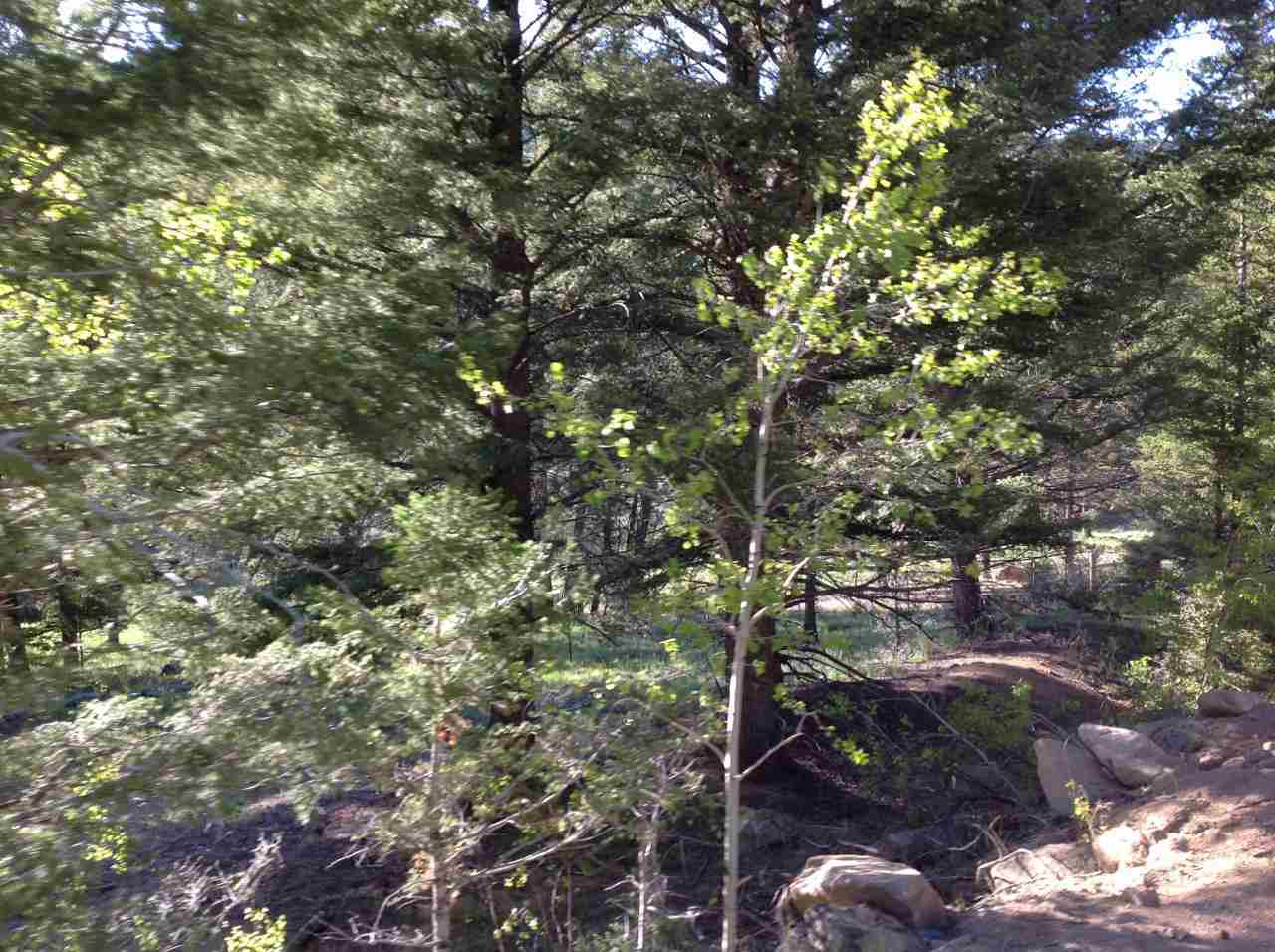 TBD -20.32 Acre High Ore Road, Basin/Bernice, MT 59632