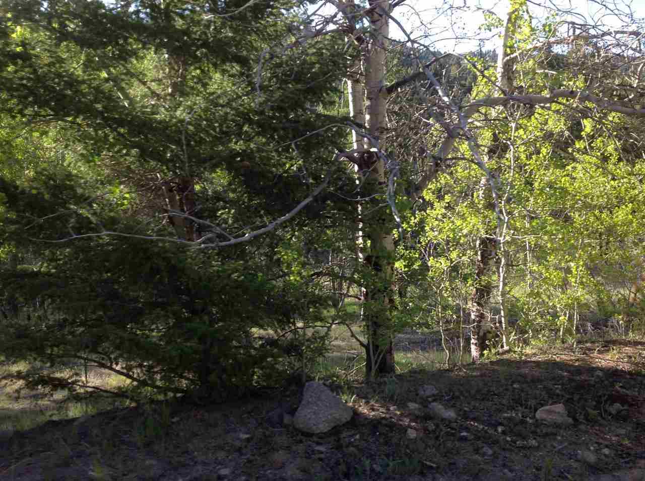 TBD -20.32 Acre High Ore Road, Basin/Bernice, MT 59632