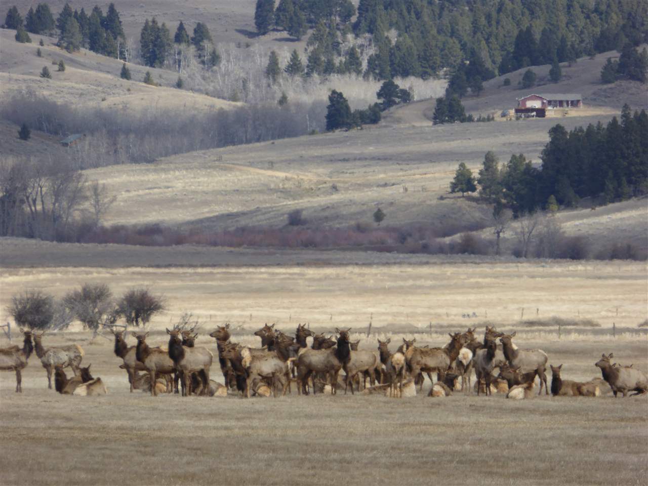 Lot 37 Aspen Valley Ranches, Boulder, MT 59632